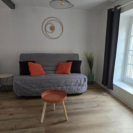 Superbe Appartement Au Coeur Du Centre Ville Καρκασόν Εξωτερικό φωτογραφία