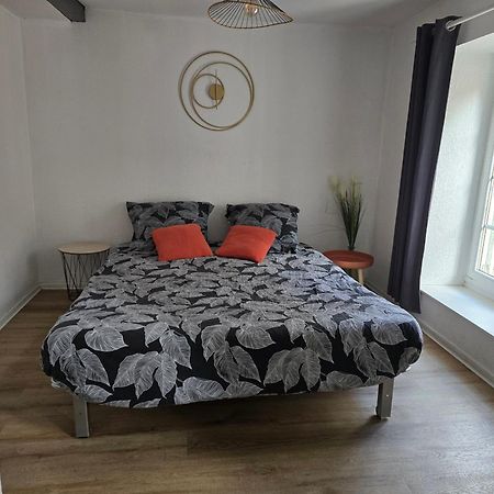 Superbe Appartement Au Coeur Du Centre Ville Καρκασόν Εξωτερικό φωτογραφία